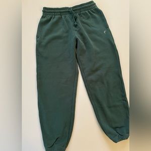 Zyia jogger sweatpants